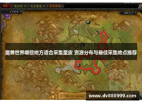 魔兽世界哪些地方适合采集重皮 资源分布与最佳采集地点推荐