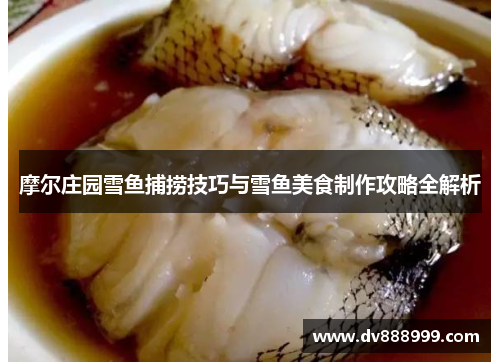 摩尔庄园雪鱼捕捞技巧与雪鱼美食制作攻略全解析
