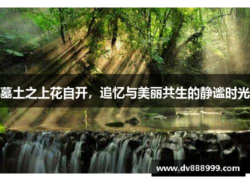 墓土之上花自开,追忆与美丽共生的静谧时光